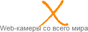 Логотип camX